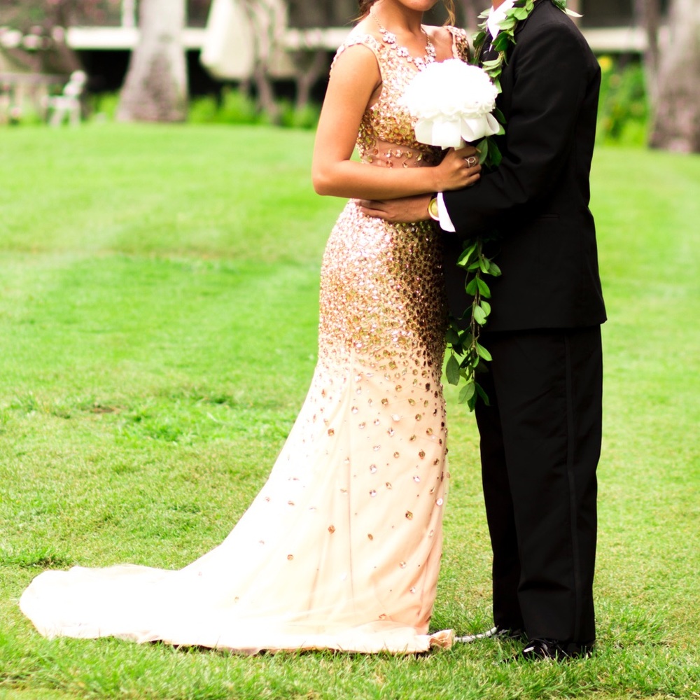 STUNNING long prom dress